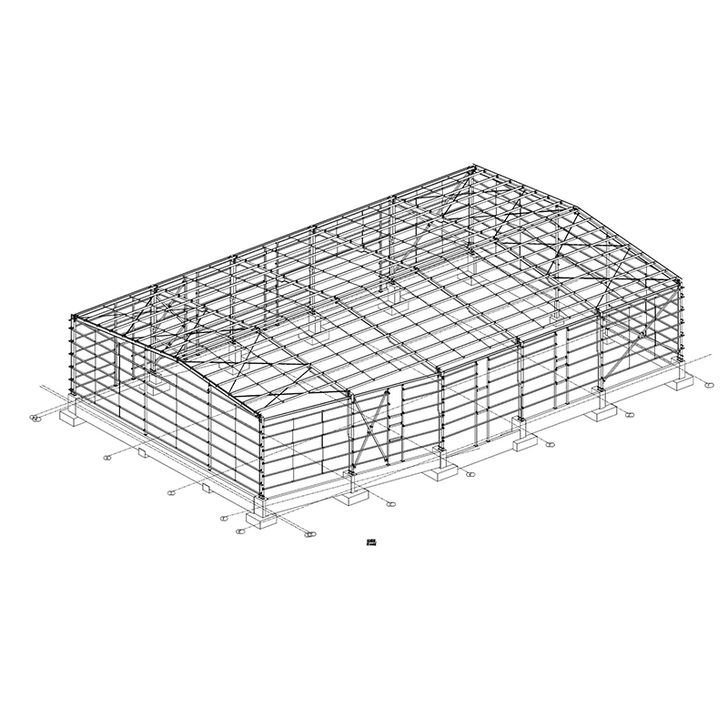 PR322 steel structure project in Chile-33 PR322 steel structure project in Chile-33